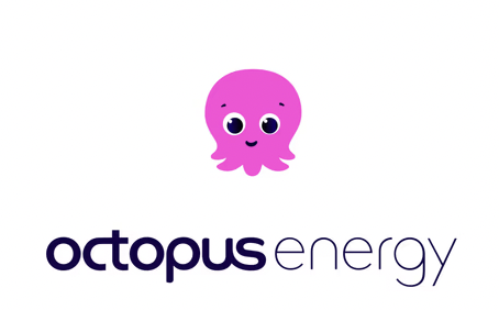 Octopus Energy: Tutte le Offerte Luce & Gas