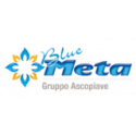 Logo Blue META