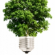 Energia pulita: il settore green cresce in Italia
