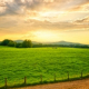 Energie sostenibili, Enel apre sportello per aziende agricole
