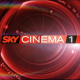Offerte Natale 2013 Sky Cinema: per i nuovi abbonati a 29,90 euro per il primo anno