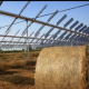 Energie rinnovabili: agrovoltaico, il chilometro zero dell’energia
