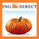 Conto Arancio ING Direct, rendimenti aggiornati e Opzione Arancio+