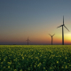 2014 rinnovabile: più del 40% di energia prodotto da fonti alternative