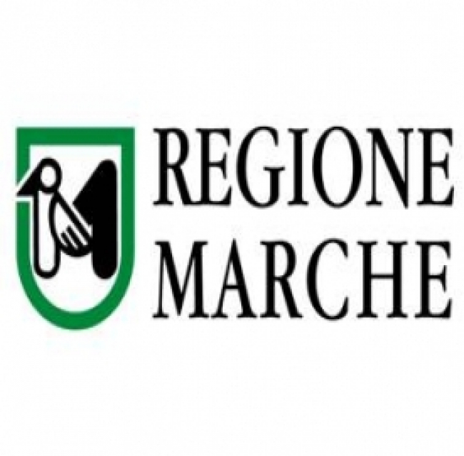 Finanziamenti agevolati della Regione Marche alle PMI nel 2011