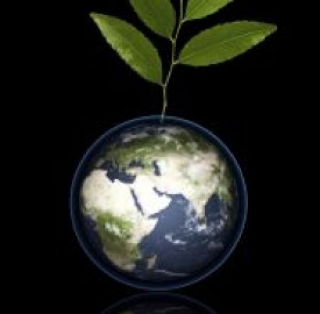 Green economy: nuovi Stati generali a novembre