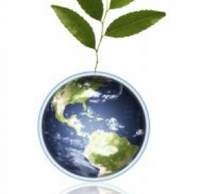 Green economy, arrivano i nuovi provvedimenti sulla crescita