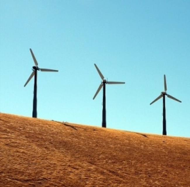 Energia eolica, Google investe 200 milioni nel Texas