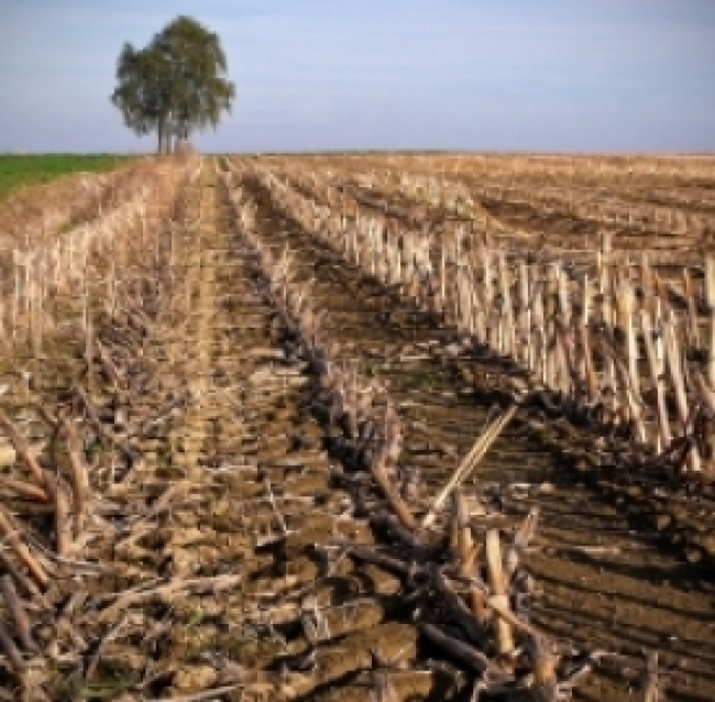 Energia rinnovabile, un bando per le imprese agricole di Parma