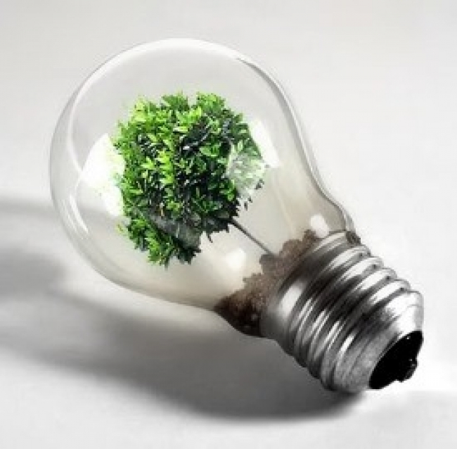 Energia ecosostenibile, il futuro dell’elettricità è anche nei rifiuti