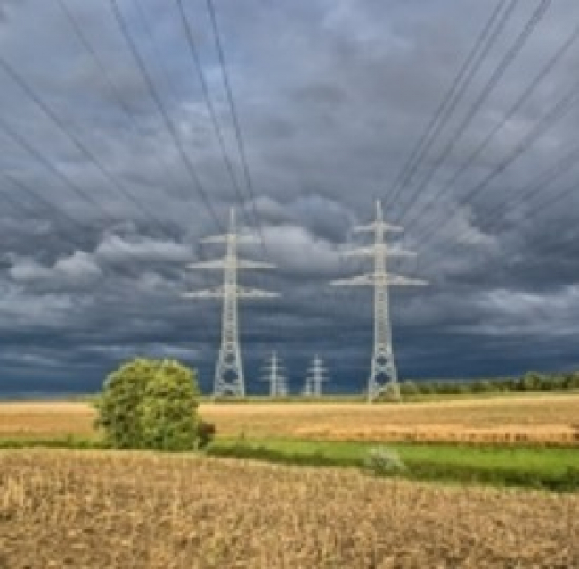 Energia elettrica, tariffe più basse grazie al web