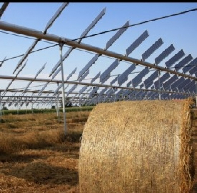 Energie rinnovabili: agrovoltaico, il chilometro zero dell’energia