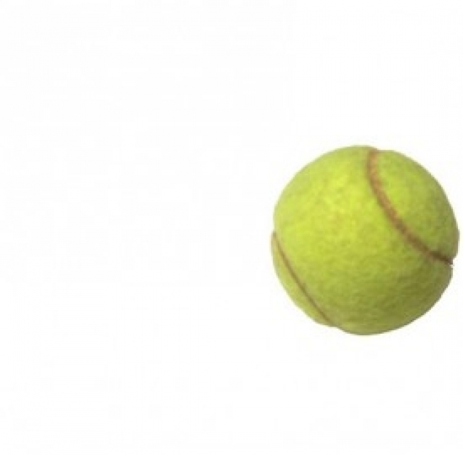 Roland Garros 2013: date, diretta RAI e pay tv, il tabellone femminile e maschile