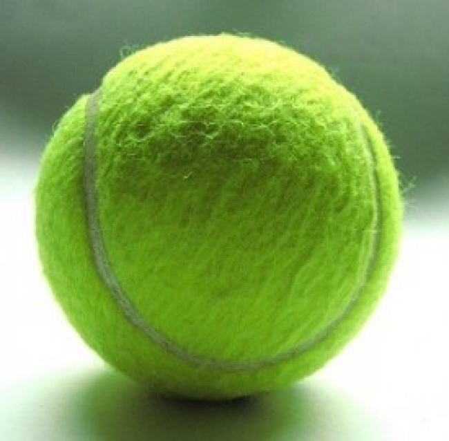 Wimbledon 2013, lo slam in diretta tv sulla pay per view: calendario e stima risultati