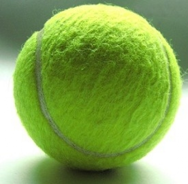 Tennis Wimbledon 2013: tabellone maschile, calendario e diretta tv o streaming