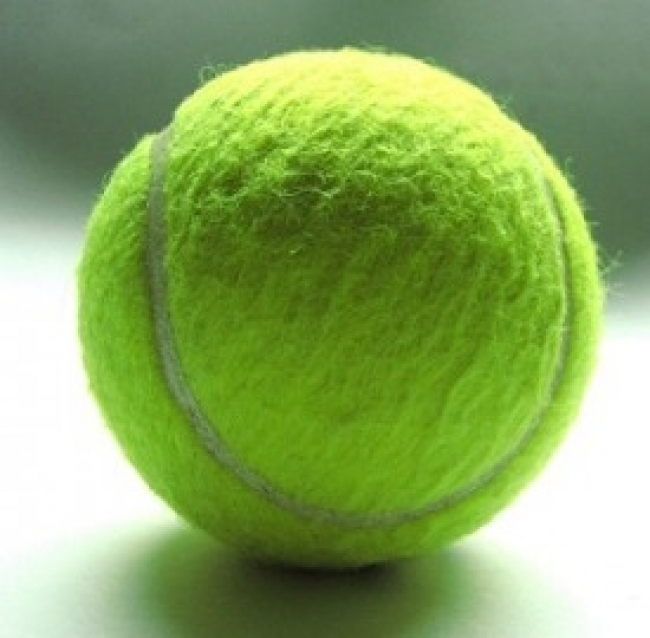 Streaming Wimbledon 2013, dove seguire la diretta live dei risultati su Pc, smartphone e tablet