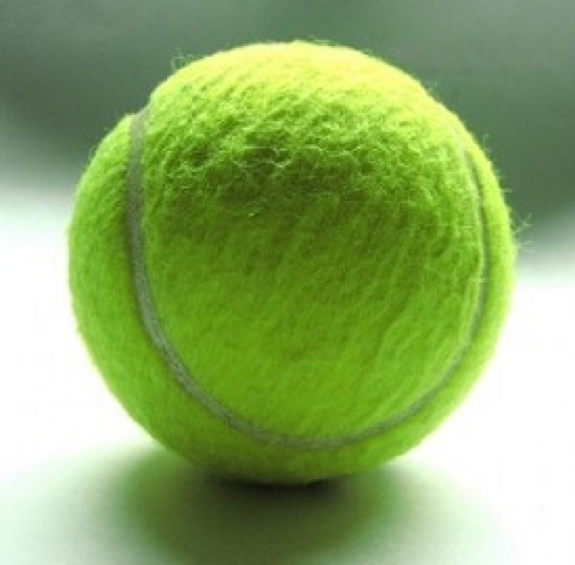 Wimbledon 2013, risultati e orari diretta Tv e streaming per le partite di oggi