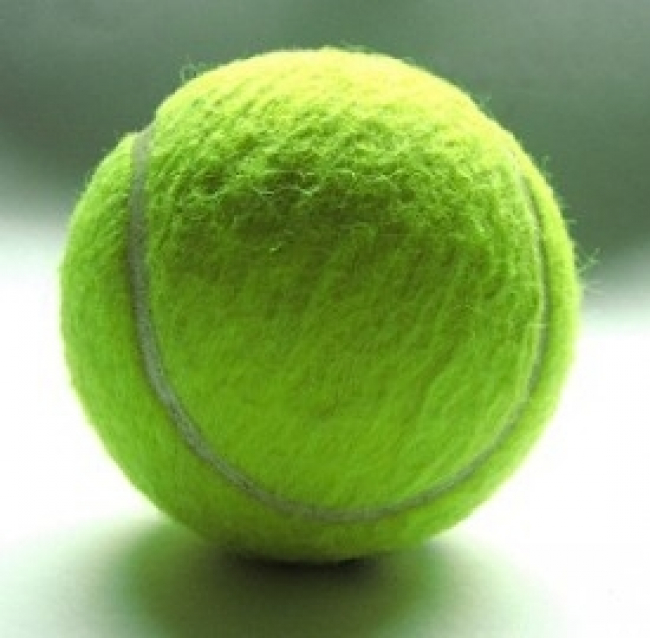 Tennis Wimbledon 2013, risultati clamorosi, gli orari diretta Tv e streaming di oggi