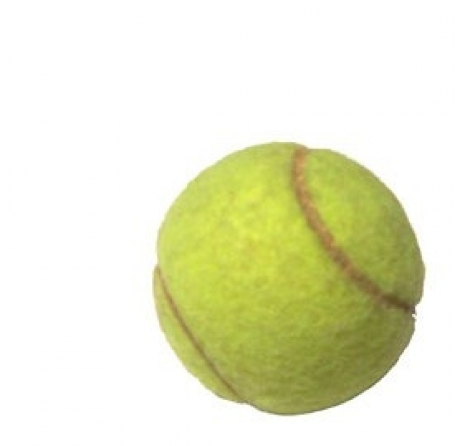 Pronostico Nadal-Ferrer, orario diretta tv finale del Roland Garros 2013