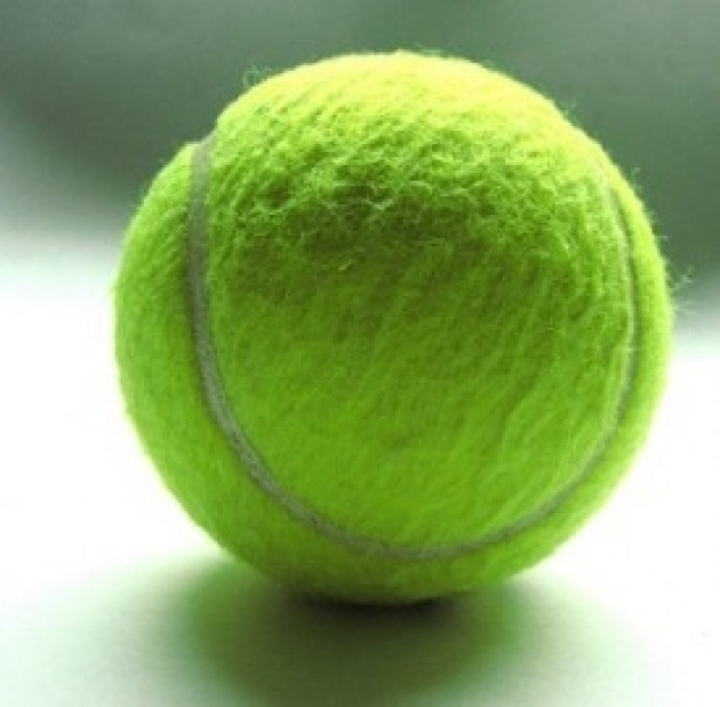 Diretta US Open: streaming live dei match di Novak Djokovic e Andy Murray