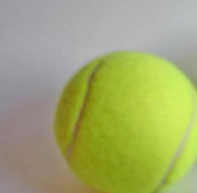 Sara Errani-Roberta Vinci in streaming la semifinale del doppio contro Serena e Venus Williams