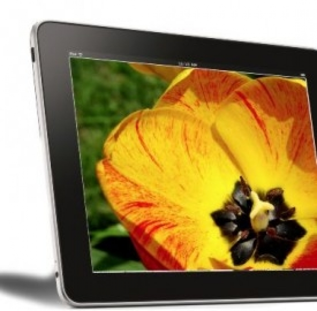 Prezzo scontato per il Nexus 7 2012: offerte dai vari negozi e specifiche tecniche del tablet