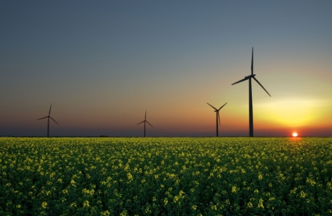 2014 rinnovabile: più del 40% di energia prodotto da fonti alternative