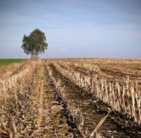 Ambiente, nasce il primo impianto per la produzione di bioidrogeno da biomasse agricole