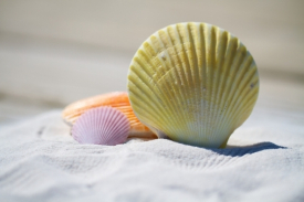 I migliori prestiti per le vacanze: 1, 2, 3…si parte!